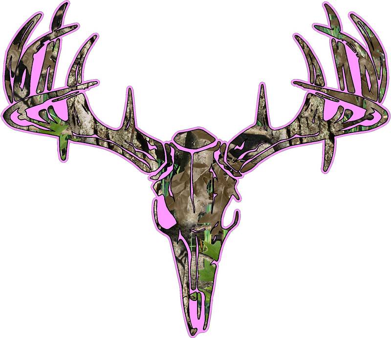 800x692 Buck Clipart Cow Skull