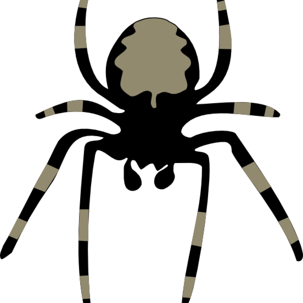 1024x1024 Spider Clipart Clipart Free