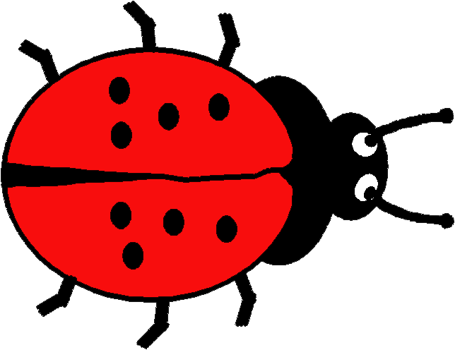 651x496 Spider Clipart Minibeast