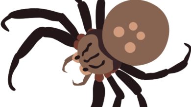 390x220 Insects Clipart Free Pic Pro