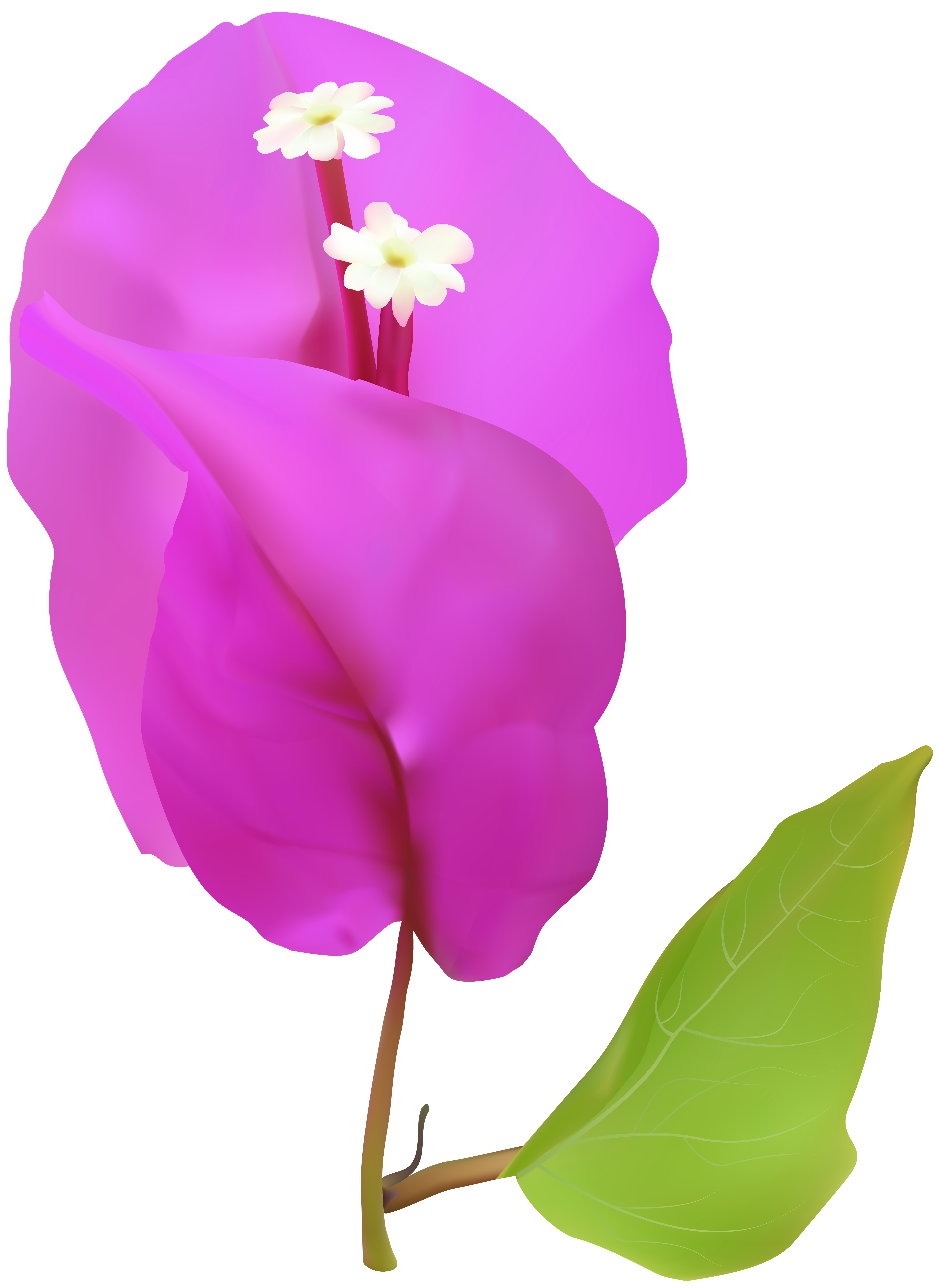 5837x8000 Spring Tree Flower Png Clip Art Imageu200b Gallery Yopriceville