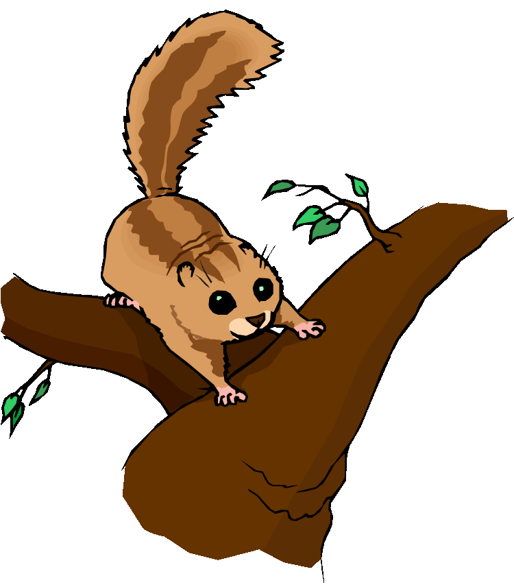 750x856 Chipmunk Clipart Craft Projects, Animals Clipart