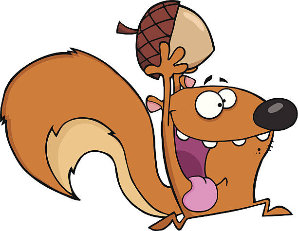 612x475 Collection Of Squirrel With Acorn Clipart High Quality, Free