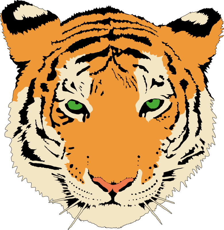 780x800 Tiger Animal Clipart Pictures Royalty Free Clipart Pictures Org