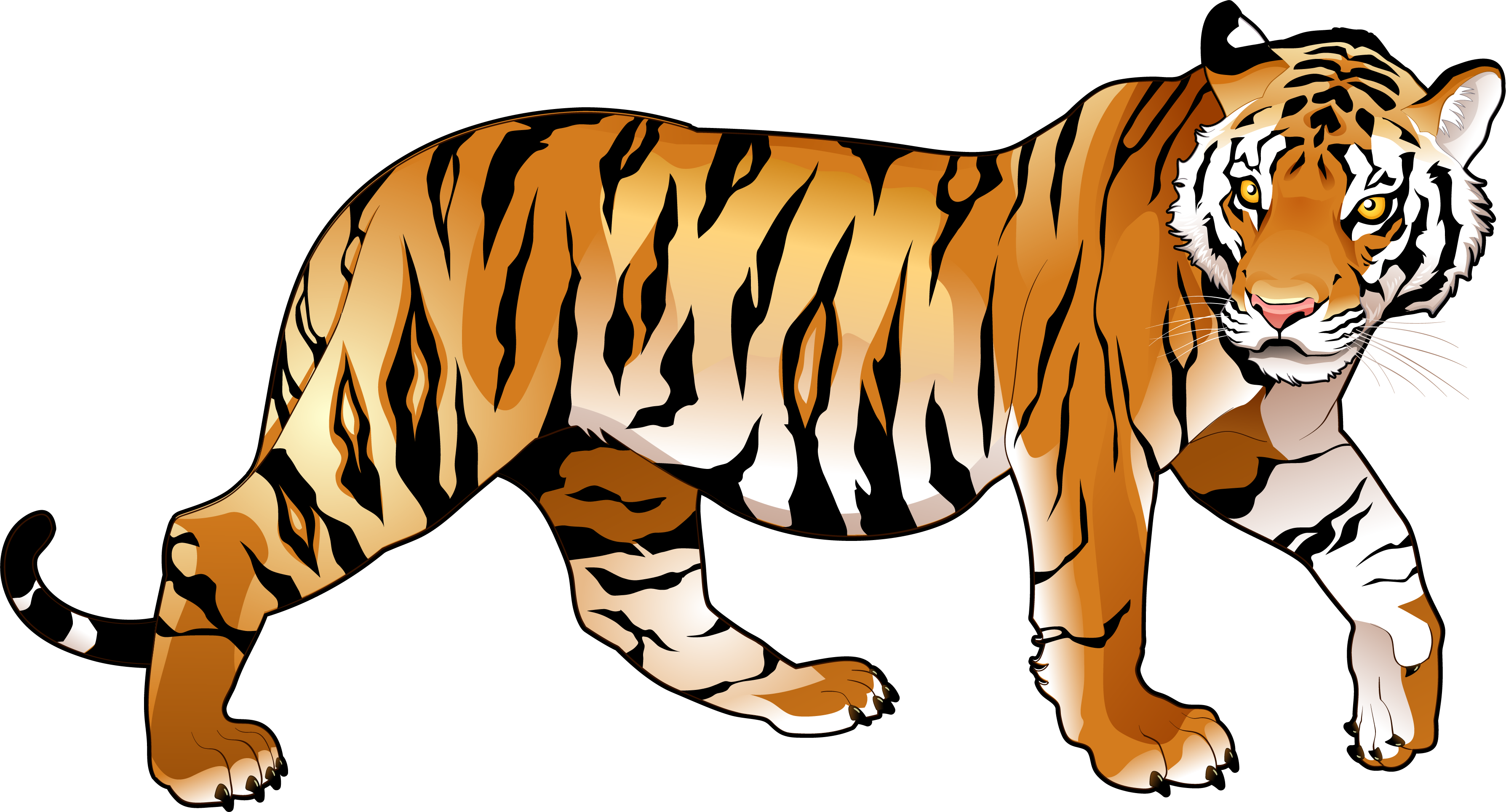 3576x1929 Tiger Clip Art Amp Tiger Clipart Images