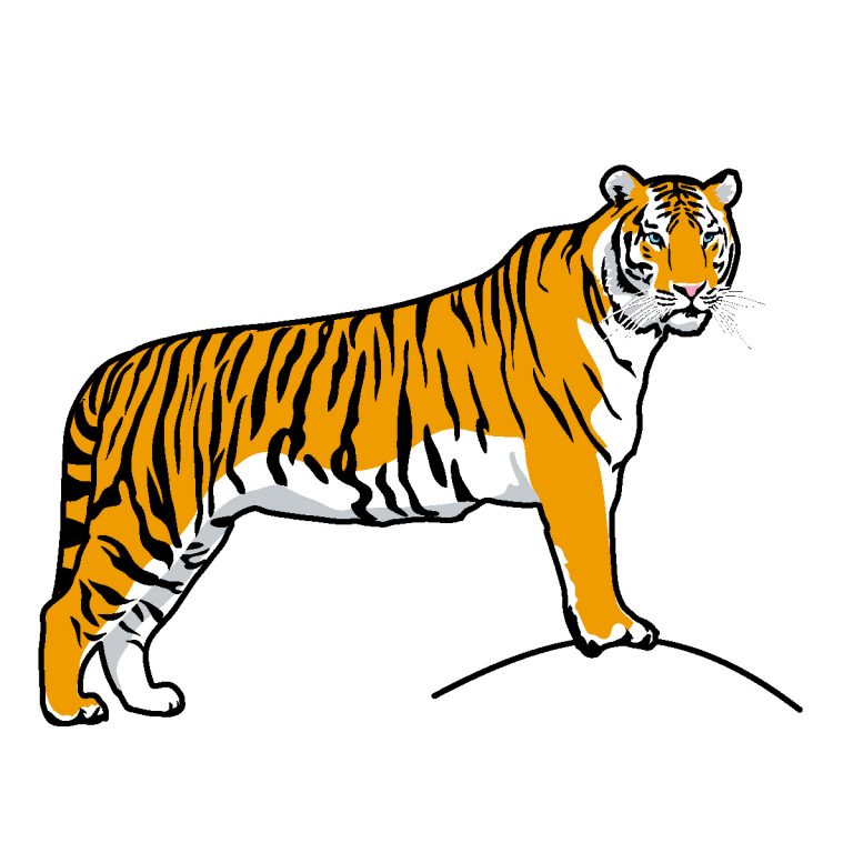 768x768 Clipart Of A Tiger Tiger Clip Art Free Clipart Images 2