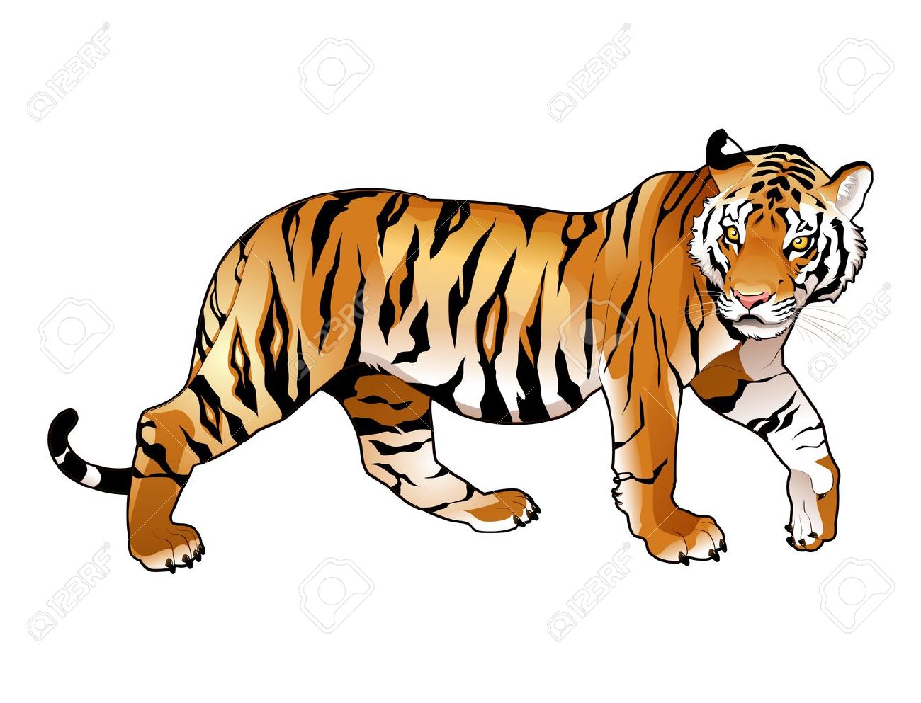 1300x993 Tiger Clip Art Images On Page 0 Yanhe Clip Art