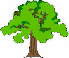 240x204 Oak Tree Tree Clip Art Free Clipart Images Clipart Image