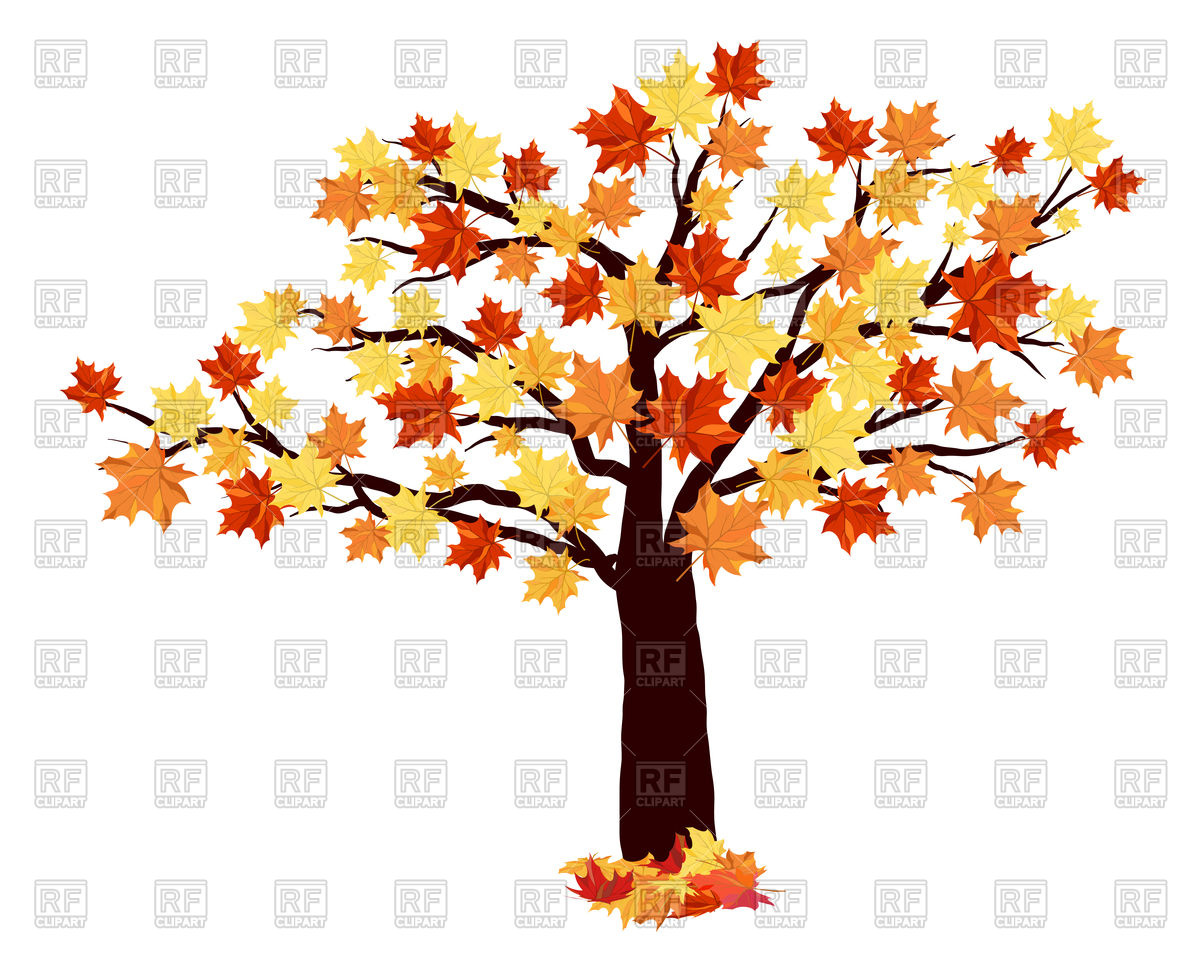 1200x960 Autumn Maple Tree Royalty Free Vector Clip Art Image