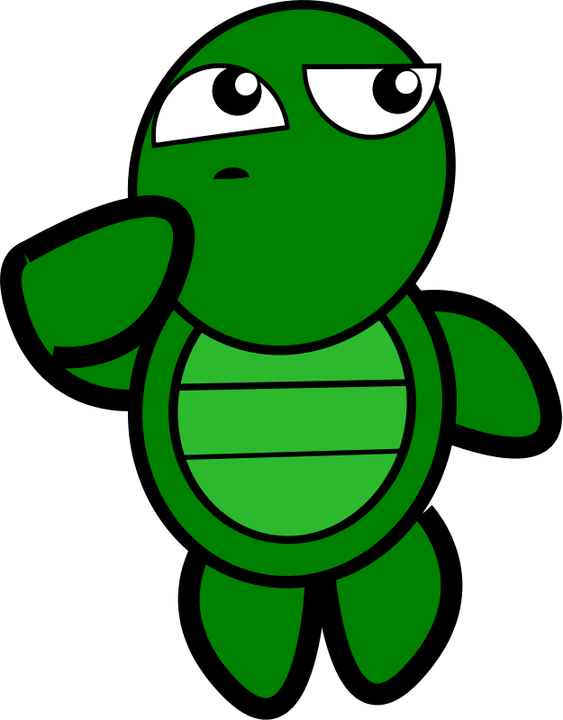 625x800 Picture Of Cartoon Turtle