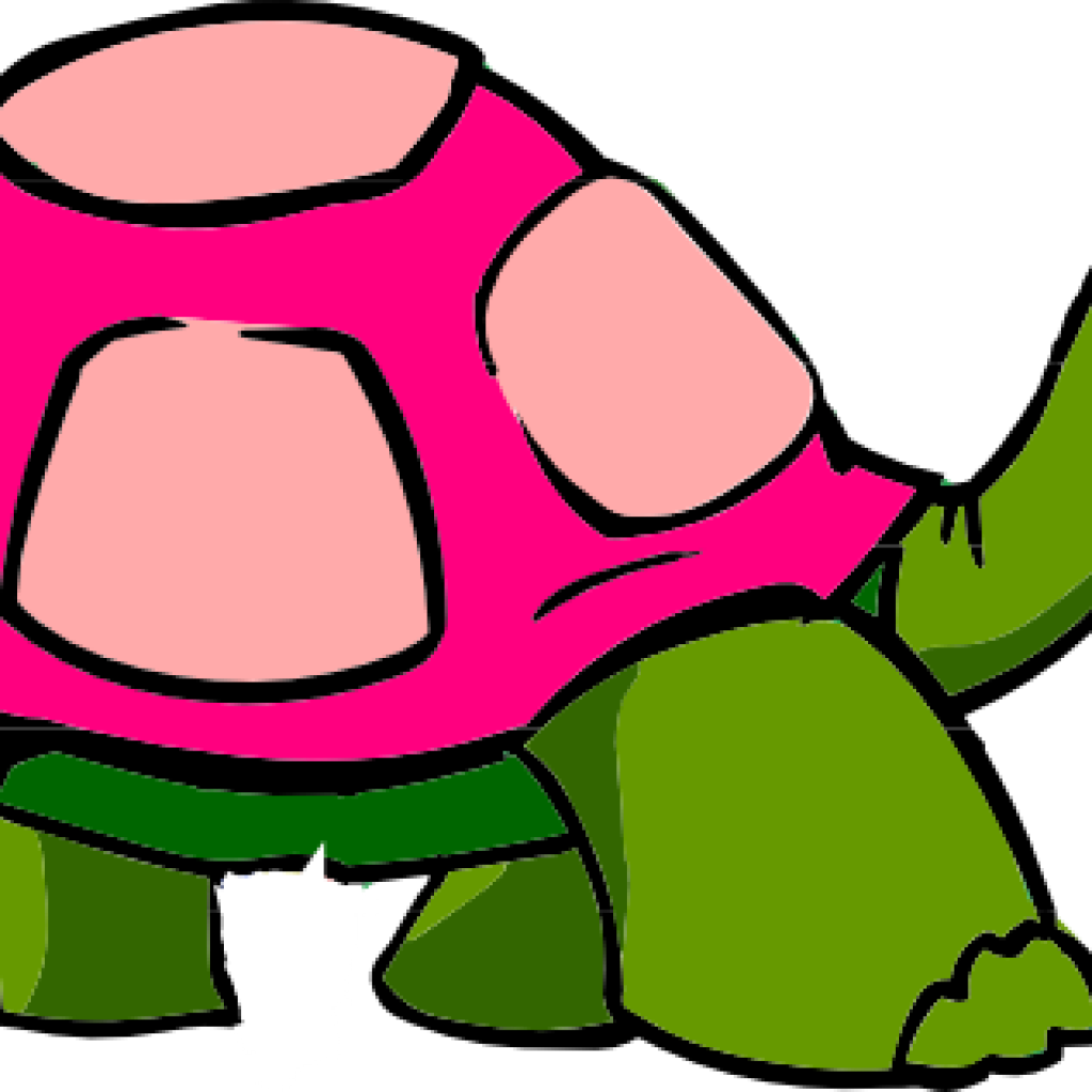 1024x1024 Turtle Clipart Free Pizza Clipart