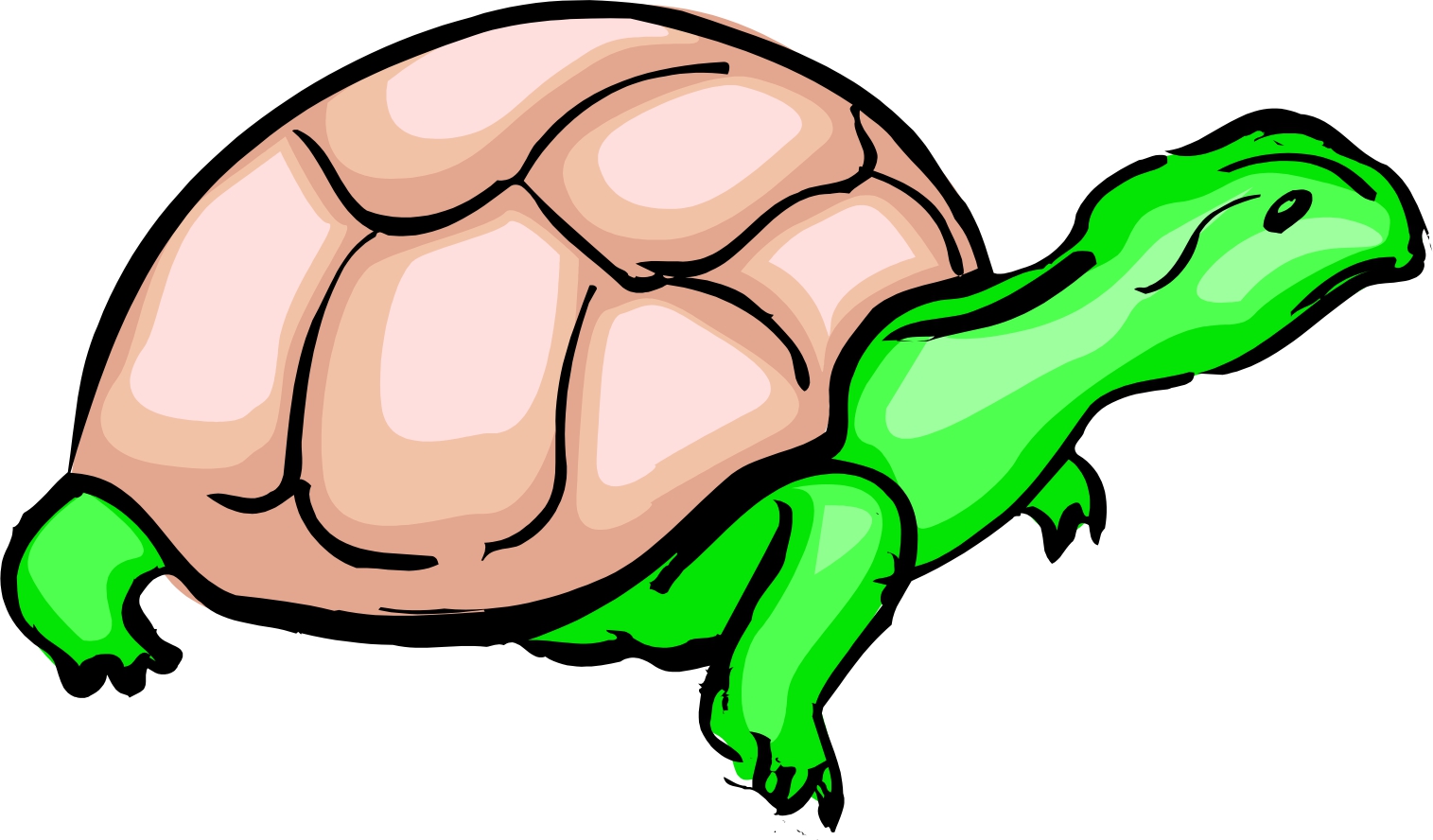 1515x888 Turtle Images Cartoon