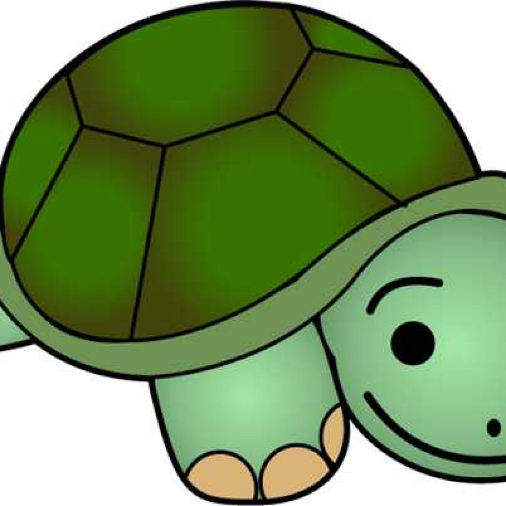 1024x1024 Turtle Images Clip Art Turkey Clipart