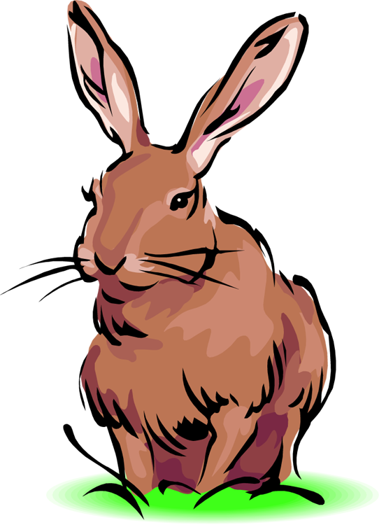 552x750 Hare Clipart Wild Rabbit