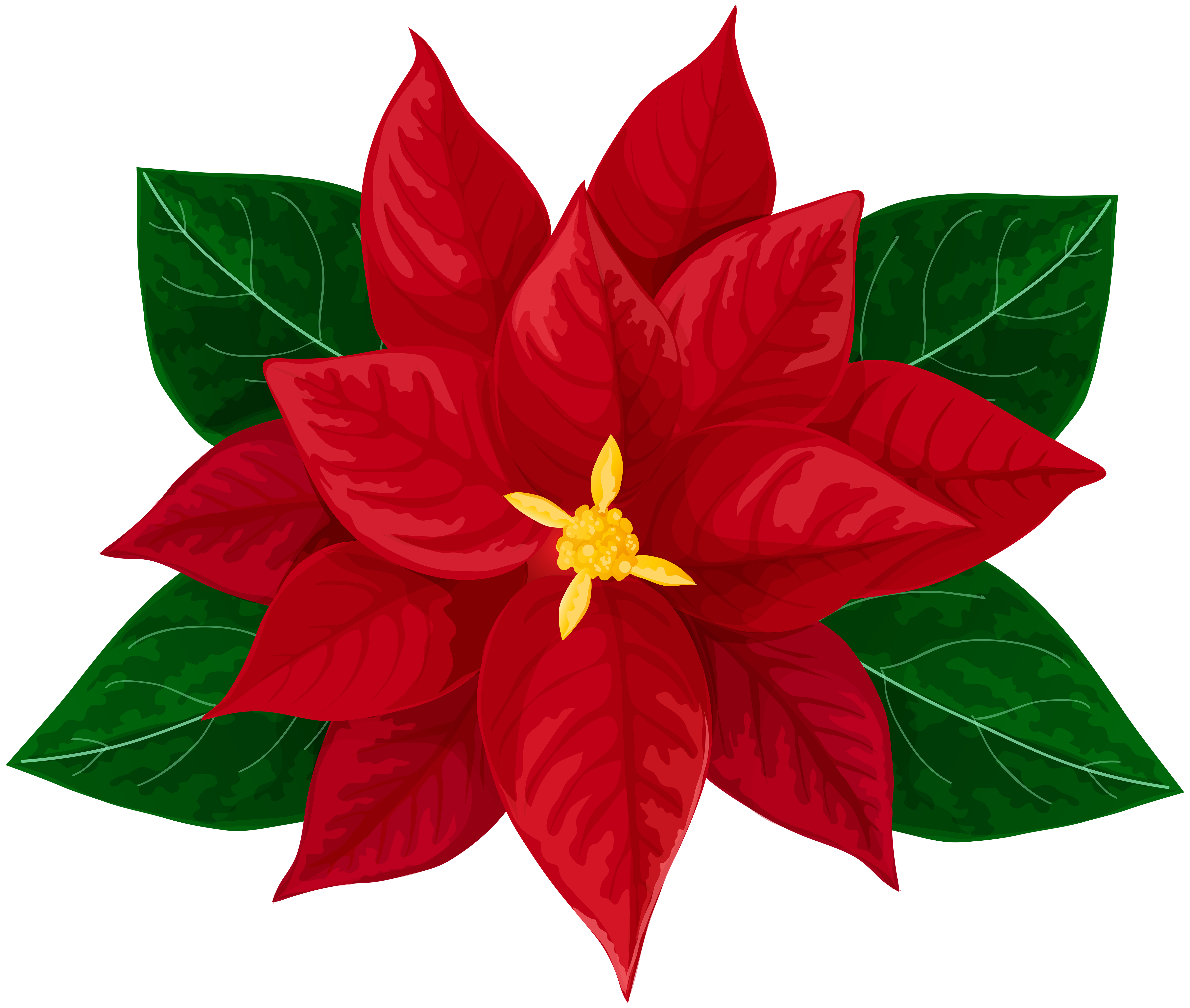 6000x5083 Poinsettia Transparent Clip Art Imageu200b Gallery Yopriceville