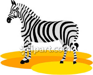 300x243 Simple Zebra