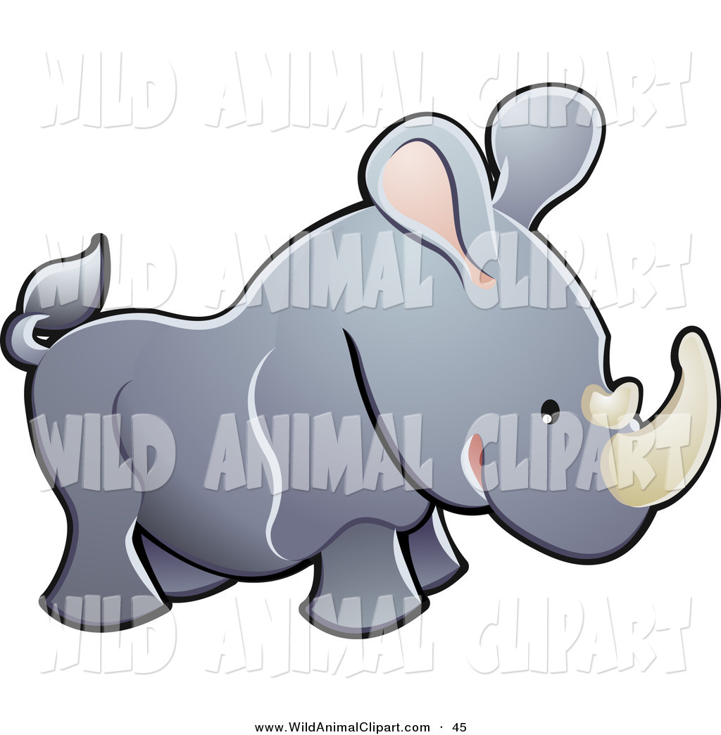 1024x1044 Royalty Free Stock Wildlife Designs Of Zoo Animals