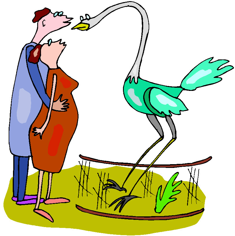 814x818 Clip Art Zoo Animals