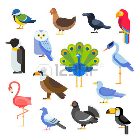 450x450 Pidgeons Clipart Freedom Bird