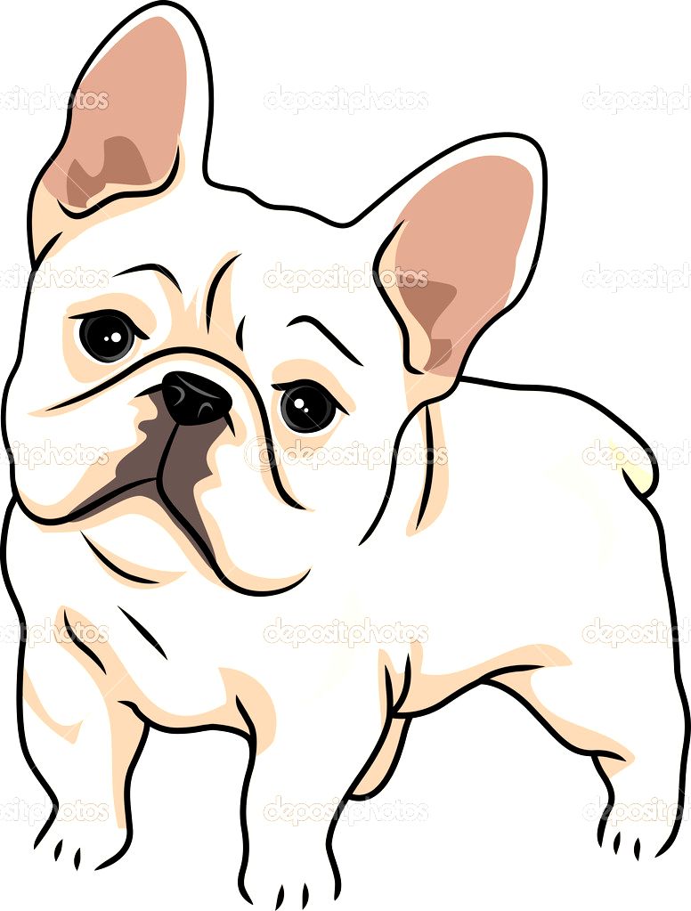 776x1023 French Bulldog Clipart Photo