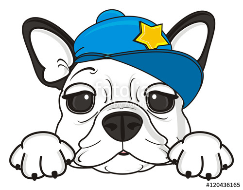 500x390 Boy, Cap, Blue, Star, Dog, Puppy, Isolated, Cartoon, Pet, Bulldog