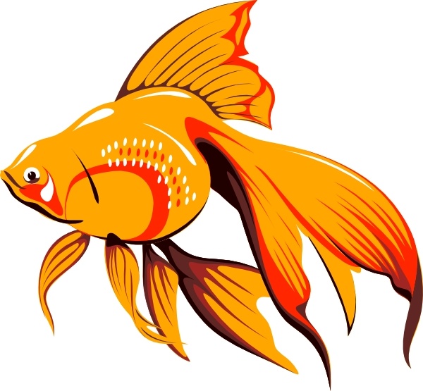 600x555 Golden Fish Clip Vector Clip Free Vector Free Download