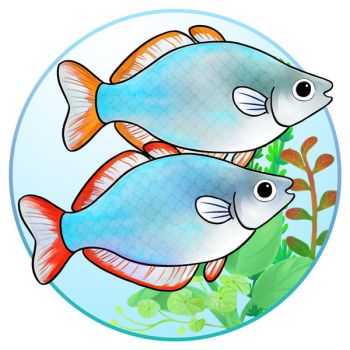350x350 Neon Clipart Rainbow Fish