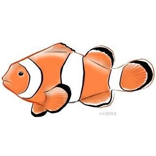 320x320 Tropical Fish Coloring Page Fish Tropical Fish