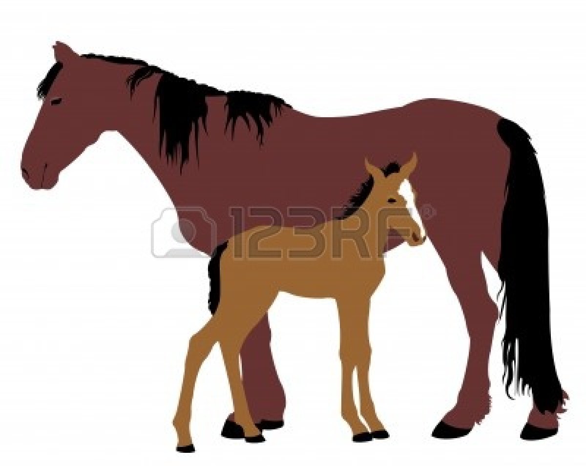 1200x954 Horse And Foal Clipart Amp Horse And Foal Clip Art Images