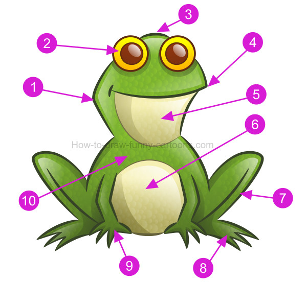 600x552 How To Draw A Frog Clip Art
