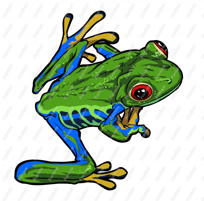 Frog Cartoon Clipart at GetDrawings | Free download
