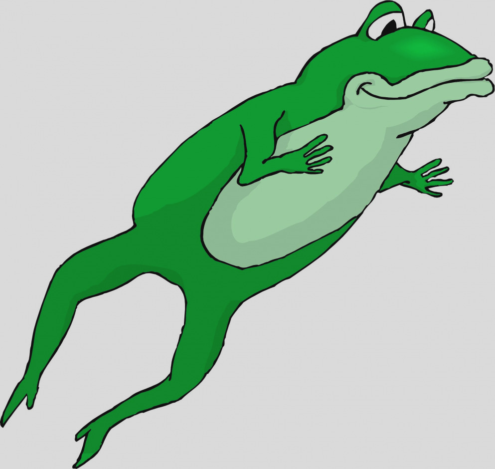 993x940 Elegant Clip Art Frog Clipart
