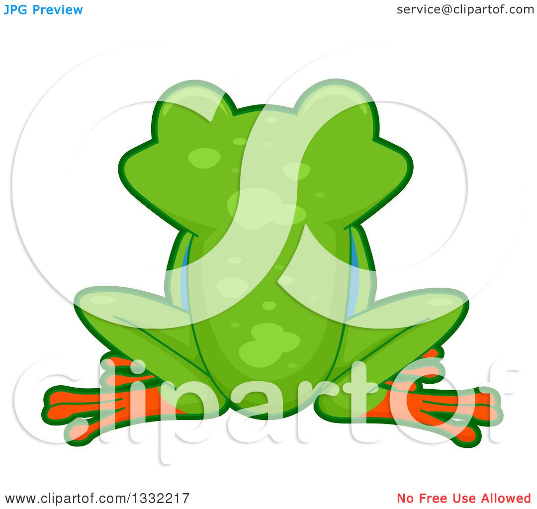 1080x1024 Clipart Of A Rear View Of A Tree Frog Sitting