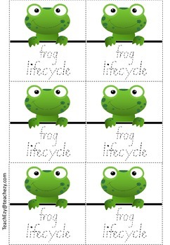 242x350 Frog Folding Life Cycle Activity By Teachezy Teachers Pay Teachers