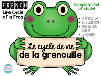 350x263 Le Cycle De Vie De La Grenouille