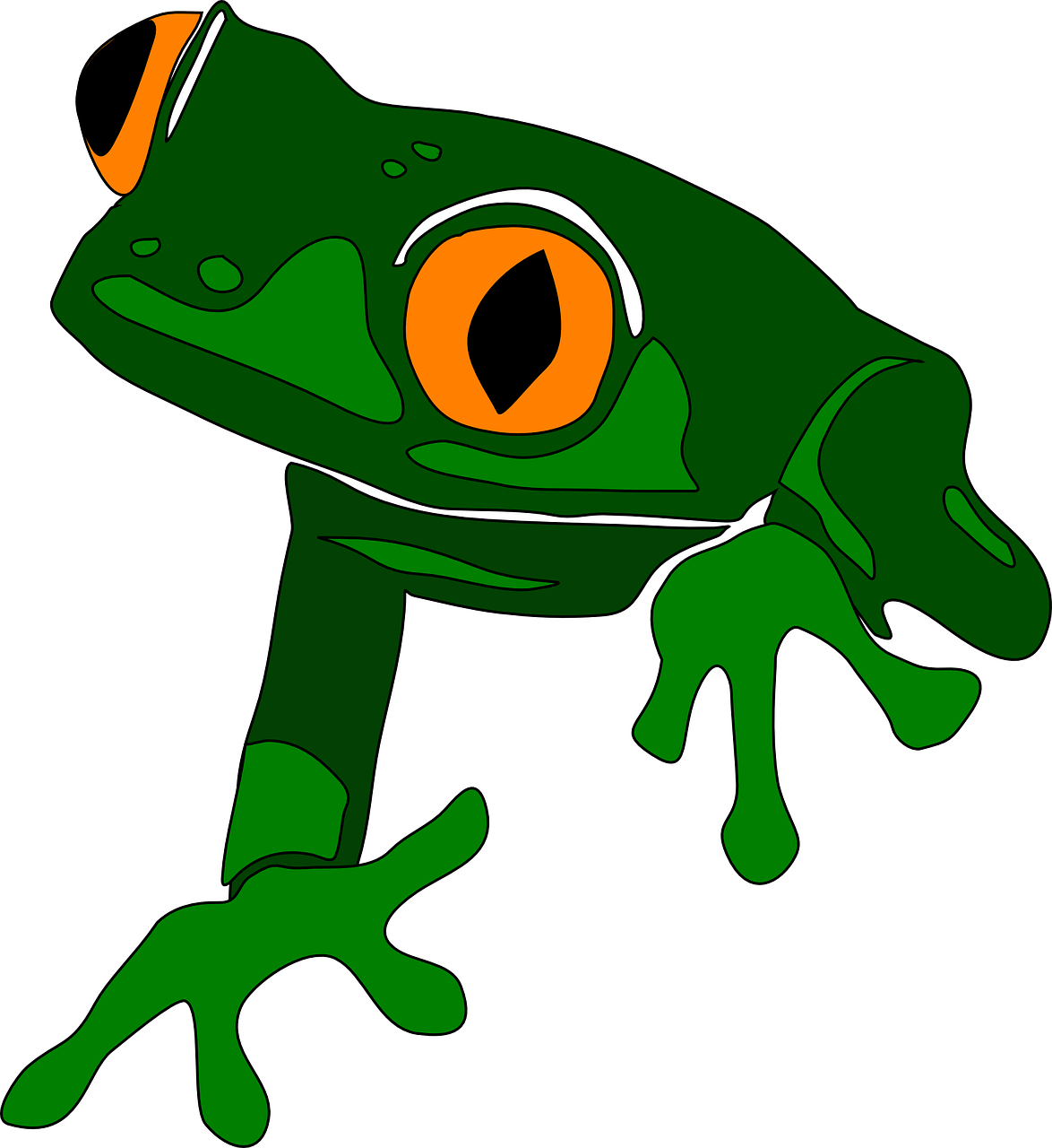 1174x1280 Clip Art Clip Art Of Frog