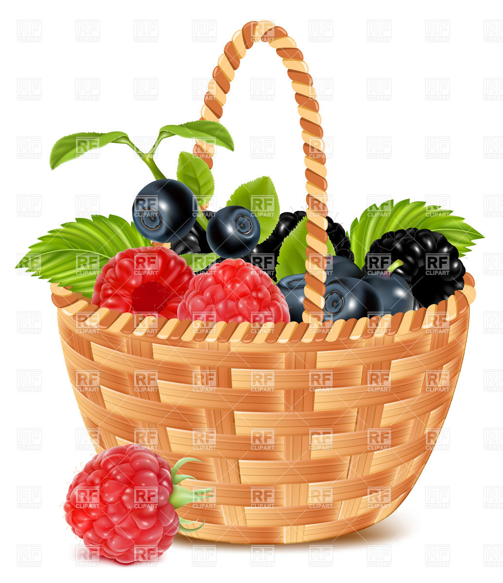 1035x1200 Ripe Forest Berries In The Basket Vector Image Vector Artwork