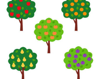 340x270 Plum Trees Clipart Collection