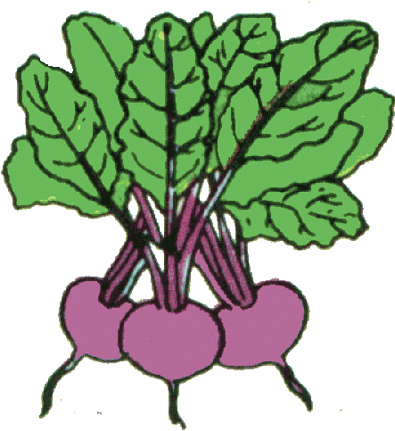 443x483 Vegetable Clip Art On Vegetables And 2 Clipartix