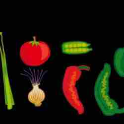 250x250 Veggie Garden Tips Archives Design Ideas Fruit Vegetable Clip Art