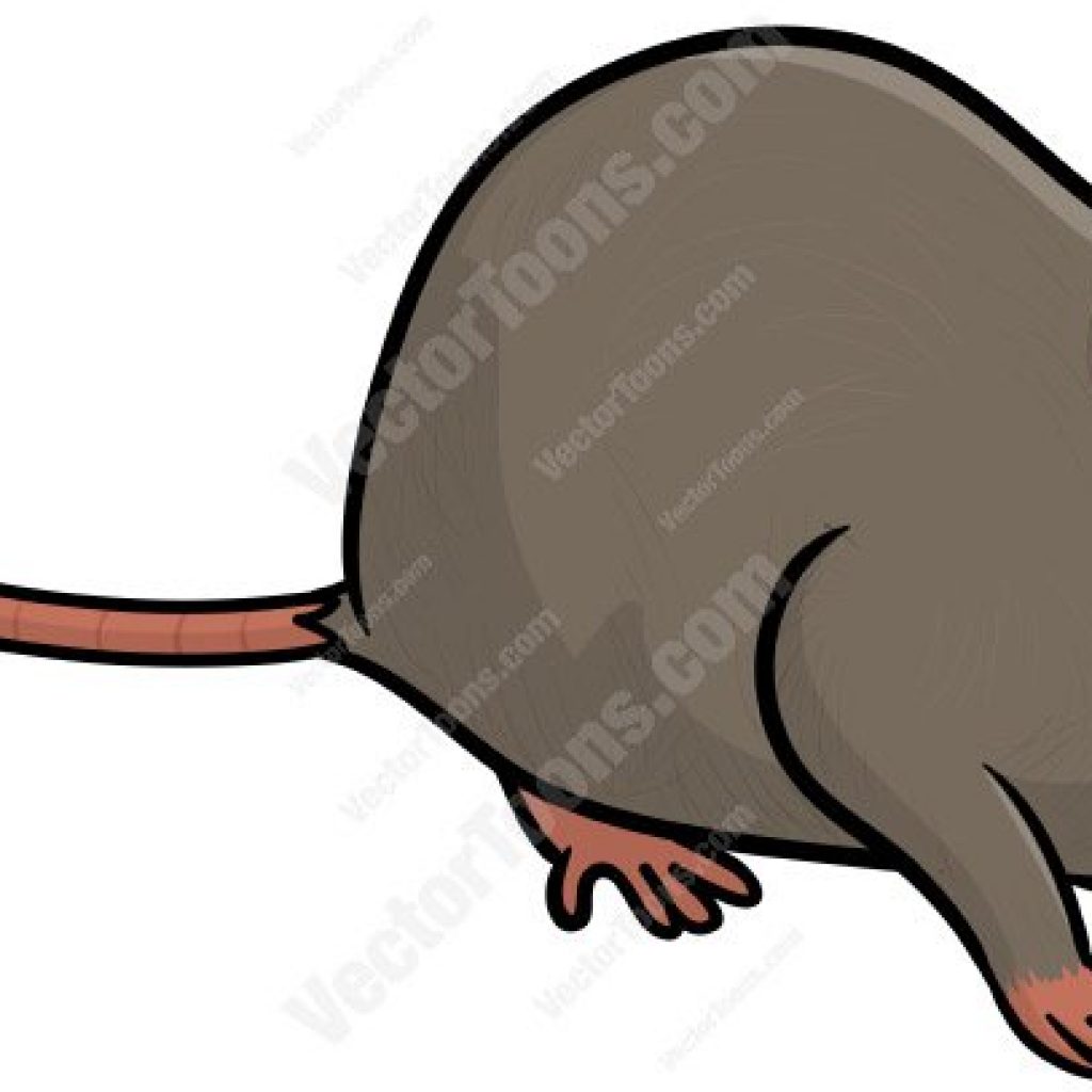 1024x1024 Rat Clipart Wave Clipart