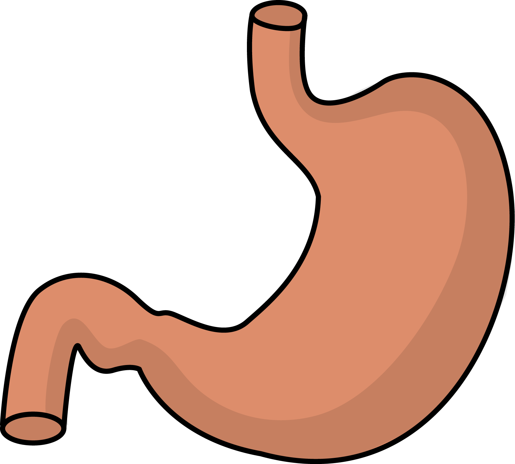 1681x1514 Stomach Clip Art