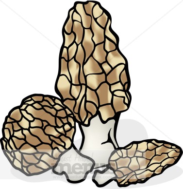 377x388 Morels Clipart Vegetable Clipart