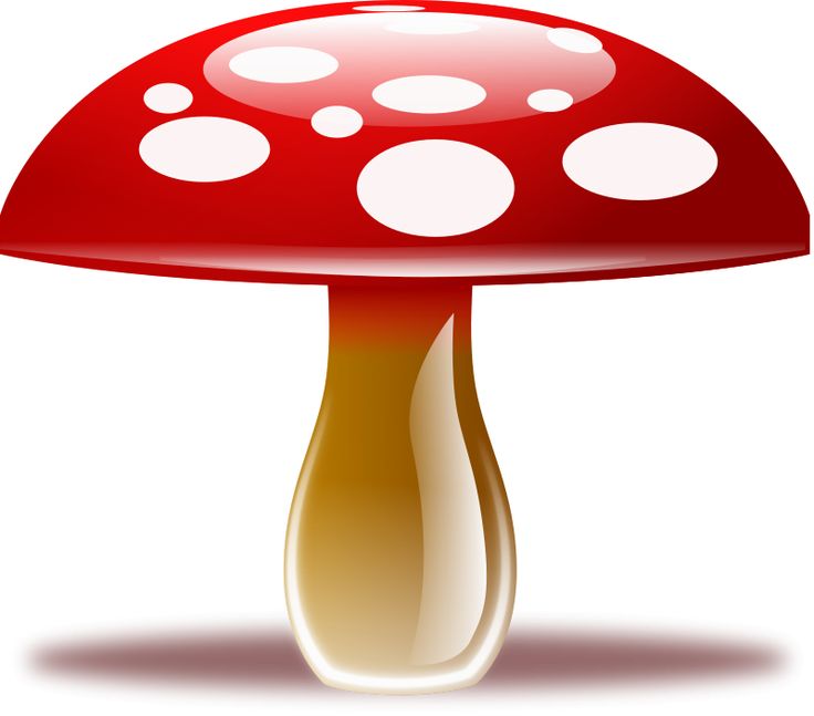 736x647 Mushroom Clipart Amp Look At Mushroom Clip Art Images