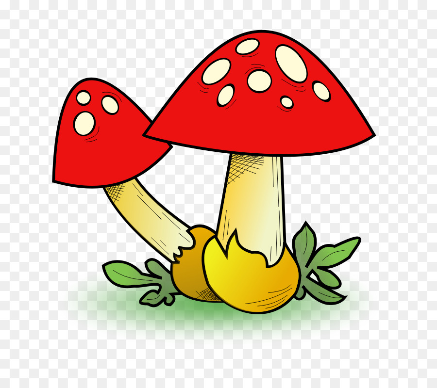 900x800 Mushroom Morchella Clip Art