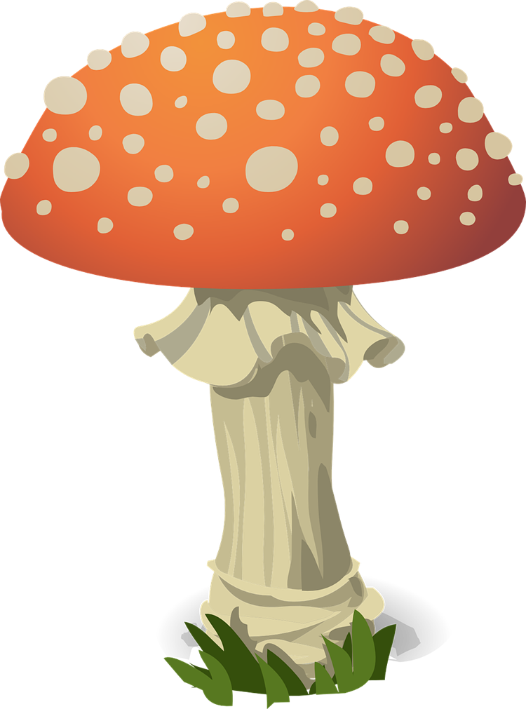 750x1011 Mushroom Free To Use Clip Art 6