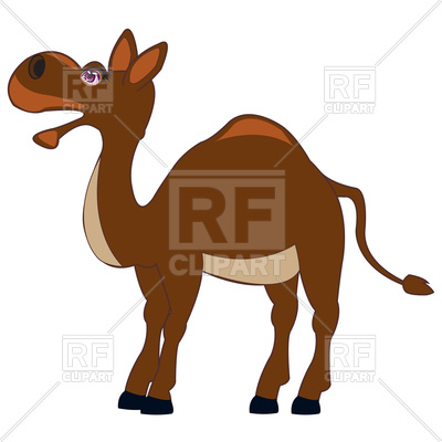 400x400 Funny Cartoon Camel On White Background Royalty Free Vector Clip