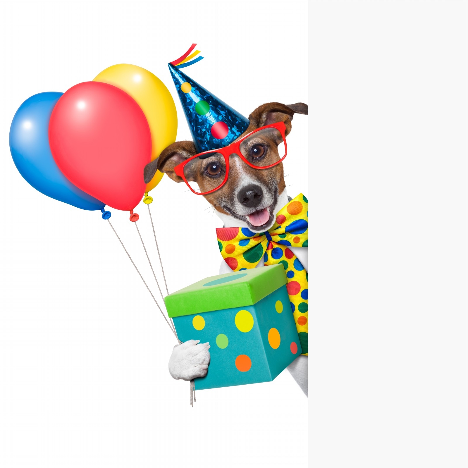 1600x1600 Dog With Balloons Postacie Do Opisania Clip Art Birthday