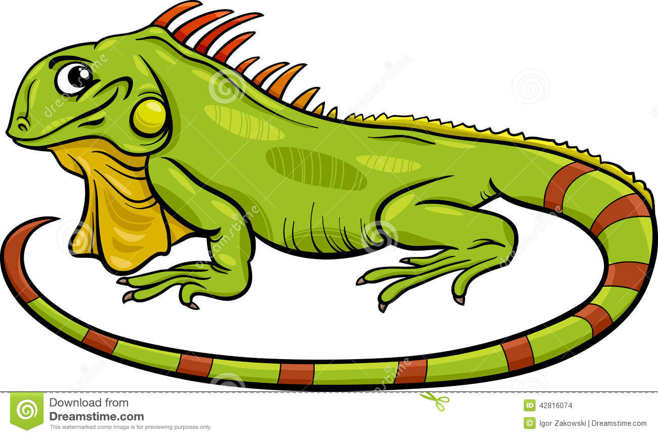 1300x864 Iguana Pet Clipart