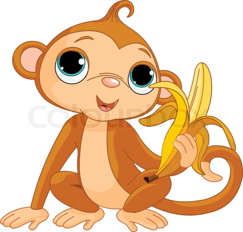 800x762 Illustration Of Funny Monkey With Banana Stock Vector Colourbox